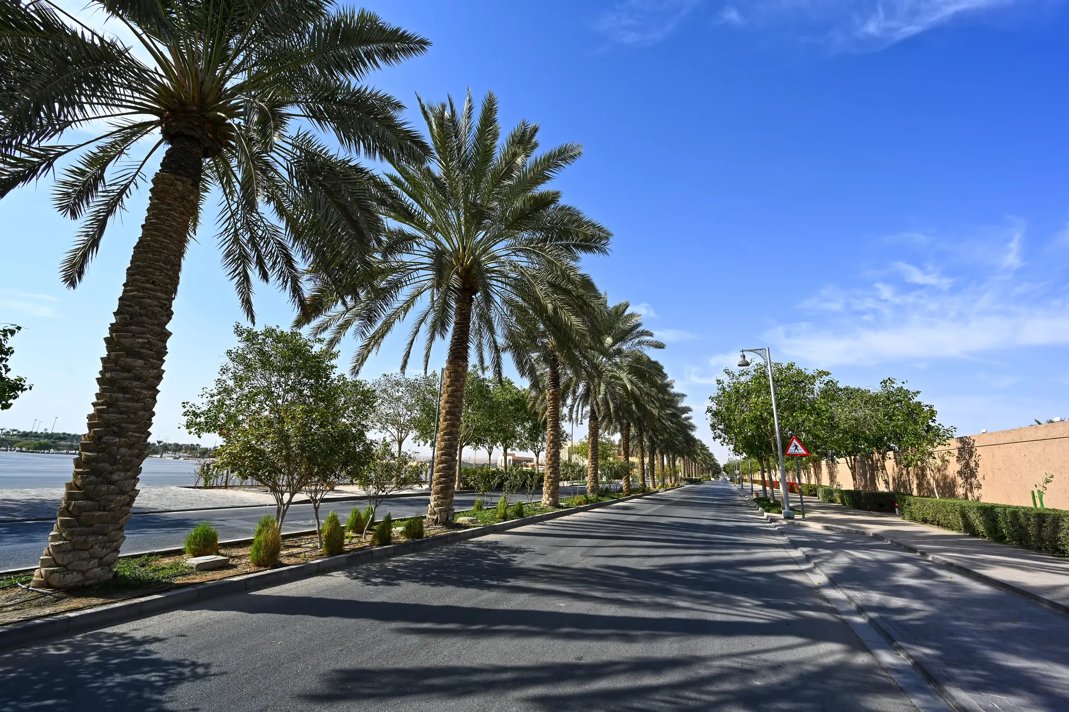 Landscape & Public Realm